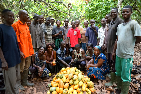 cocoa farmers